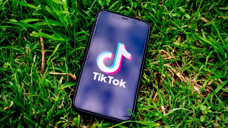 Top 6 Tik Tok Alternative Apps to Try in 2020