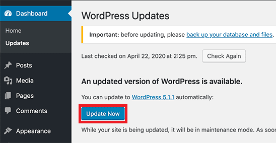 Install WordPress Updates