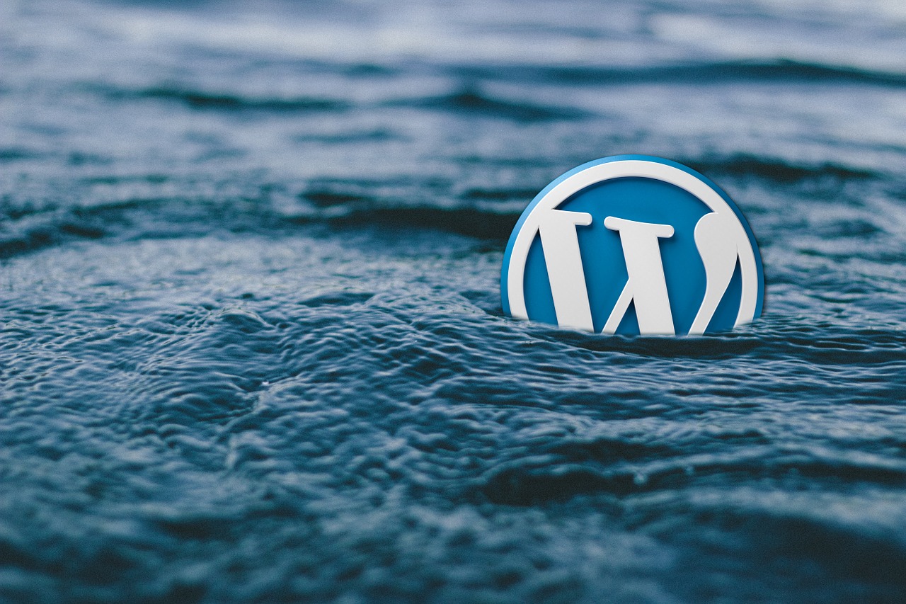 10 Ways to Secure Your WordPress Website