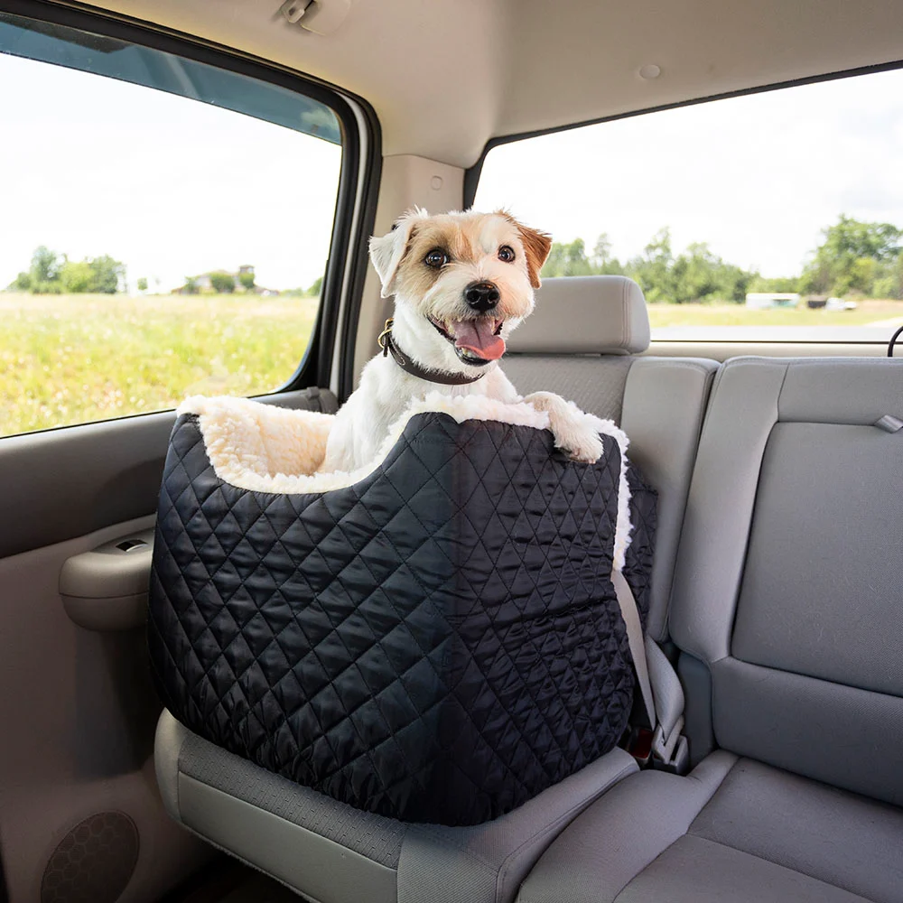 car travel with dog accessories