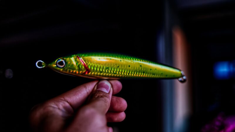 The Future of High Tech Fishing, What You Need To Know