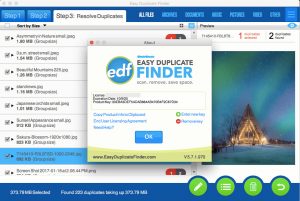 easy duplicate finder $39