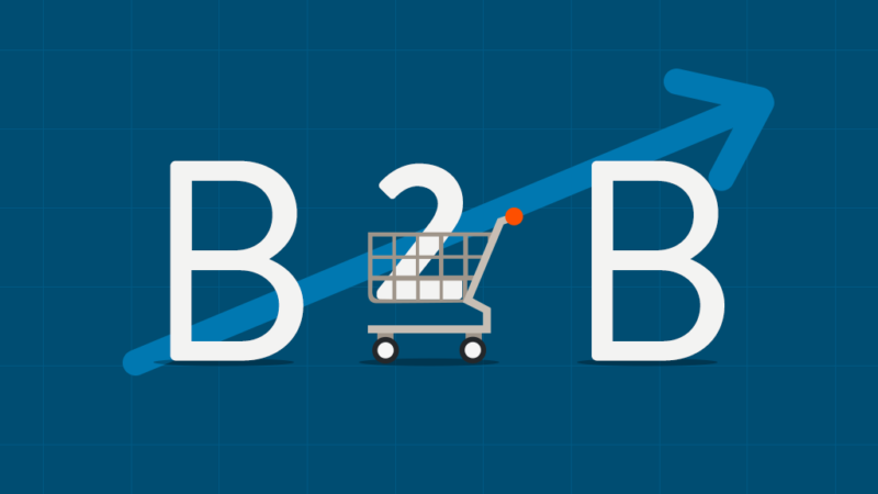 Covering Your B2B Ecommerce Effectiveness