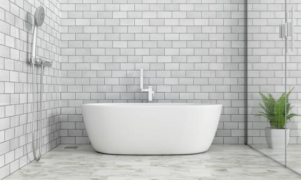 3 Basics You Need To Know About Back to Wall Baths