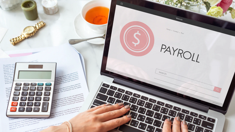 A Guide To Payroll Management System: Payroll Is A Breeze Now!