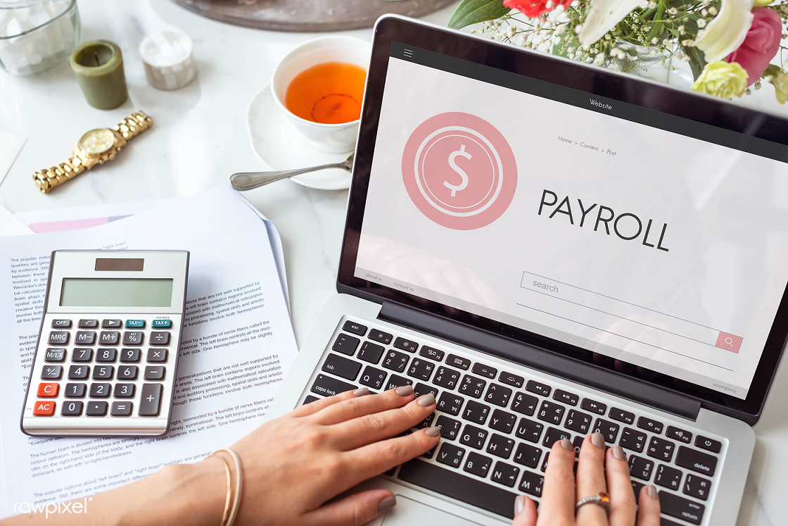 A Guide To Payroll Management System: Payroll Is A Breeze Now!