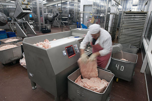 Technology That Makes Meat Affordable: Meat Processing Systems