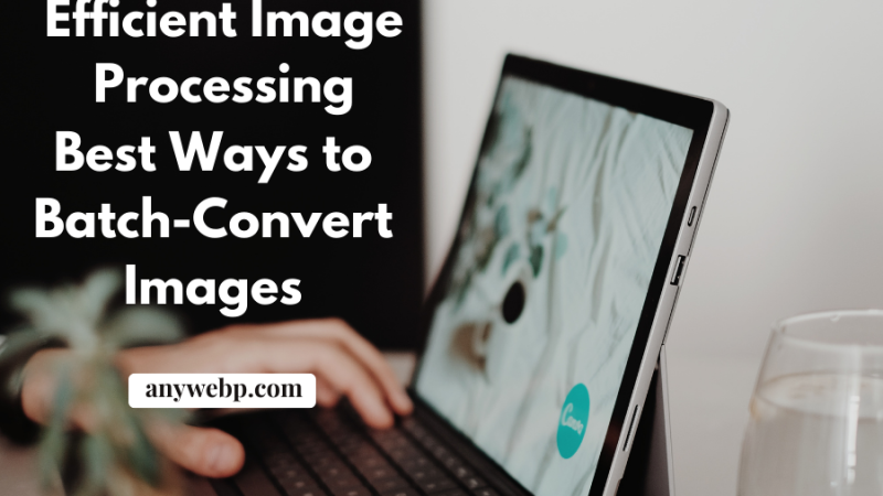 Efficient Image Processing: Best Ways to Batch-Convert Images