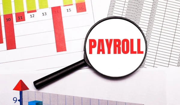 A Comprehensive Guide: Outsourced Payroll Service for Law Firms