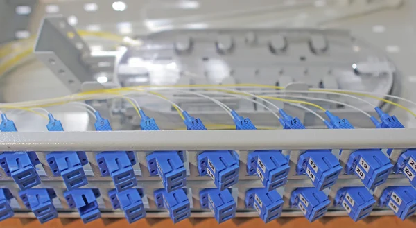 How Fiber Patch Panels Improve Network Performance and Reliability?