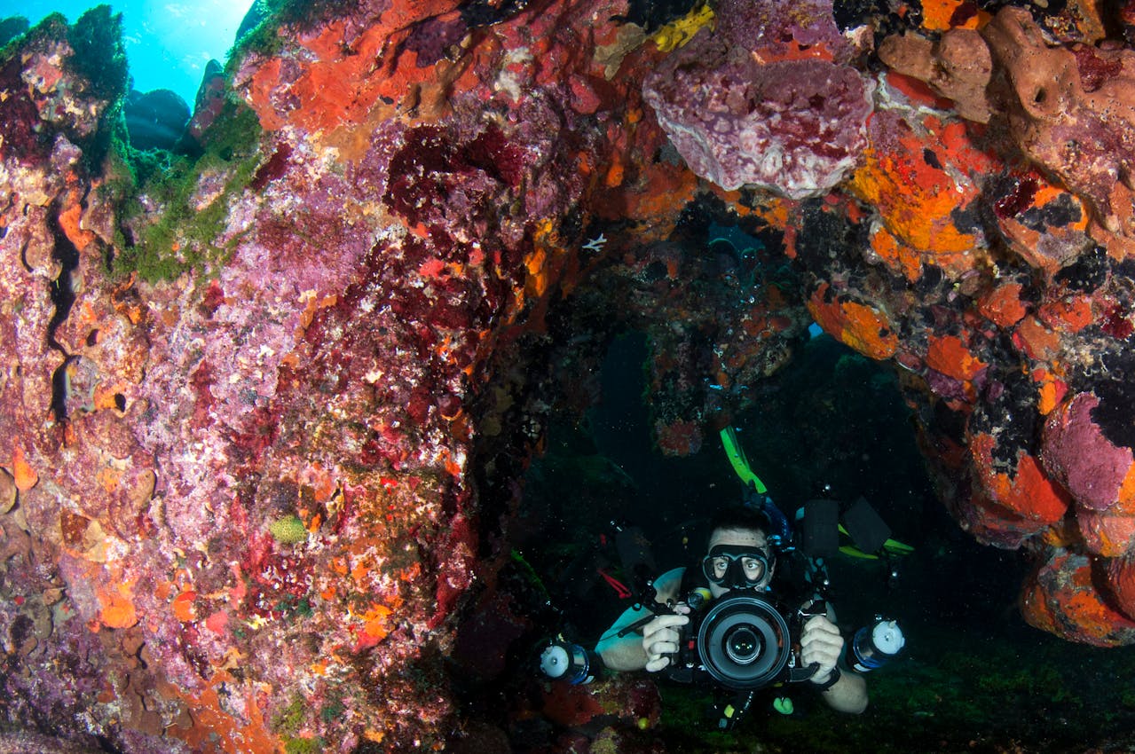 An Inside Look at How Subsea Images Are Captured