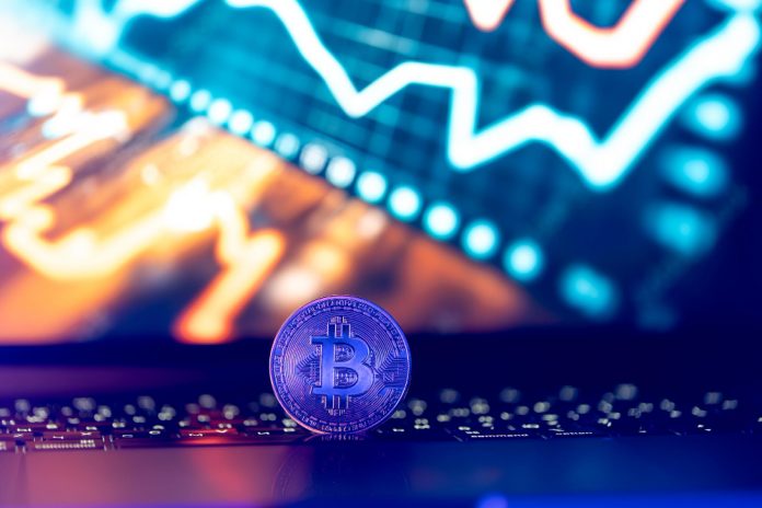 Crypto Trends Crypto Trends