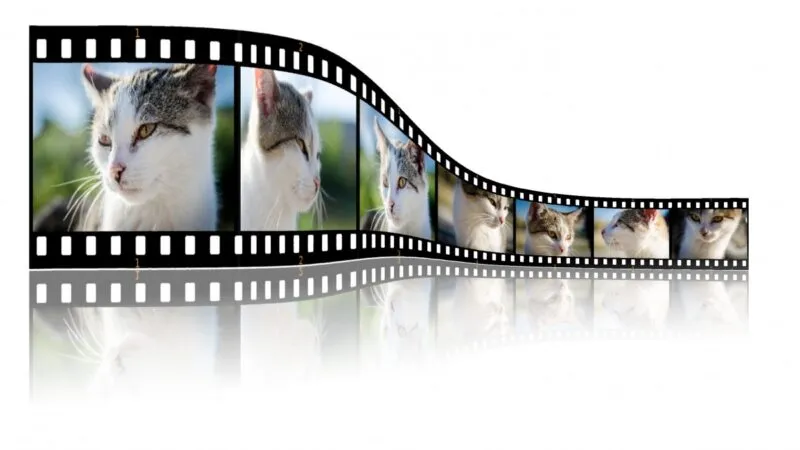 Video Verification – The Need and Process Explained