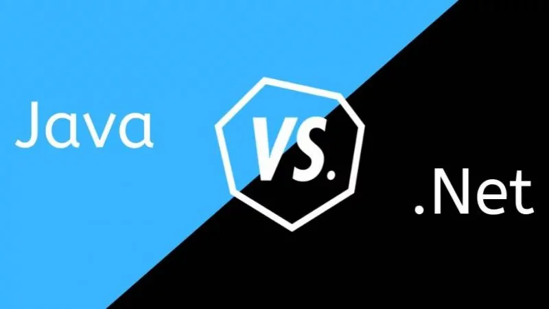 Java vs .Net: Which Is Better For Your Business?