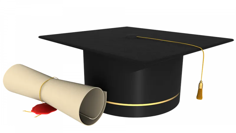 What can you do with a graduation certificate in international business management?