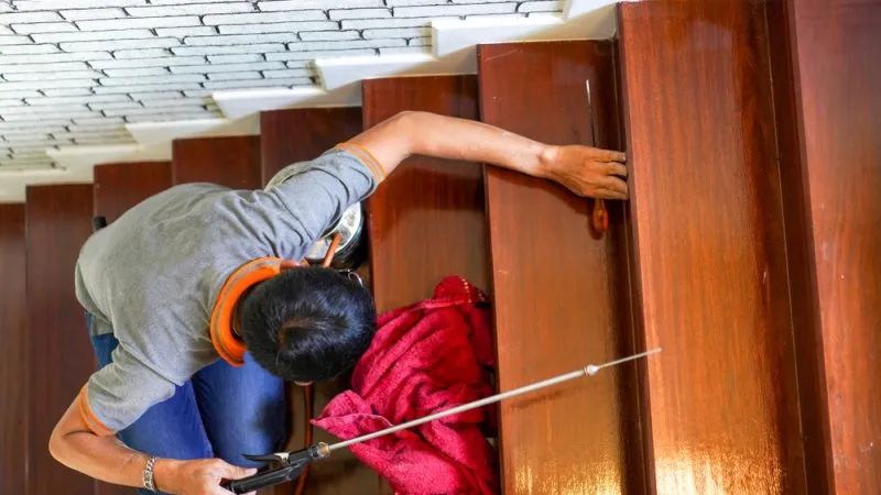 How do We Termite Control & How to find Professional Pest Control Company in Lahore?