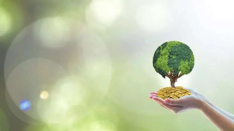 Unconventional Insurance Coverage Of Indian Celebrities