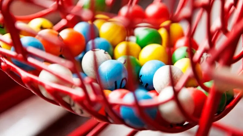 Did you know this about Bingo?