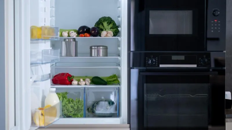Keeping It Fresh: How to Maintain Your Refrigerator in the Indian Heat