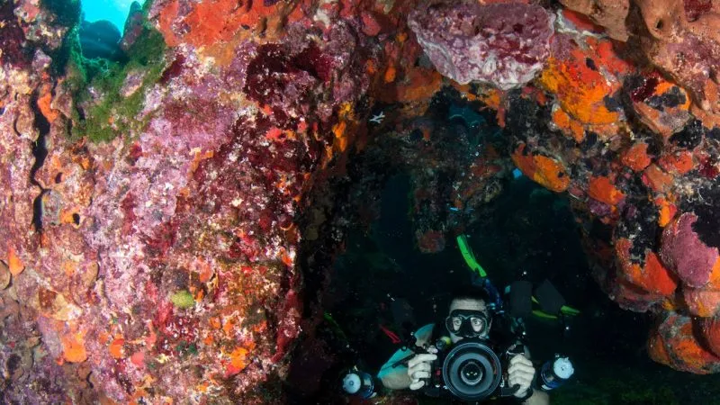 An Inside Look at How Subsea Images Are Captured